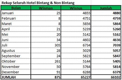 data kunjungan